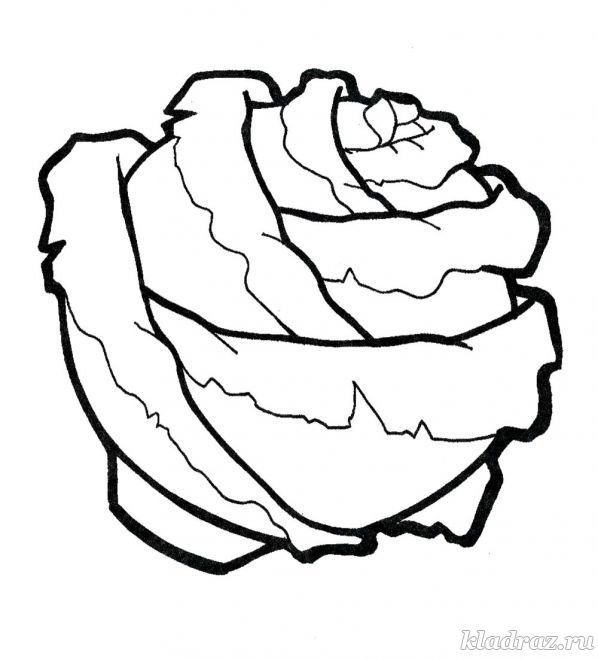 Капу раскраска