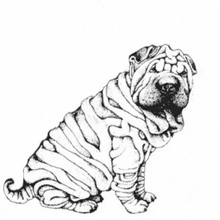 Нарисовать шарпея