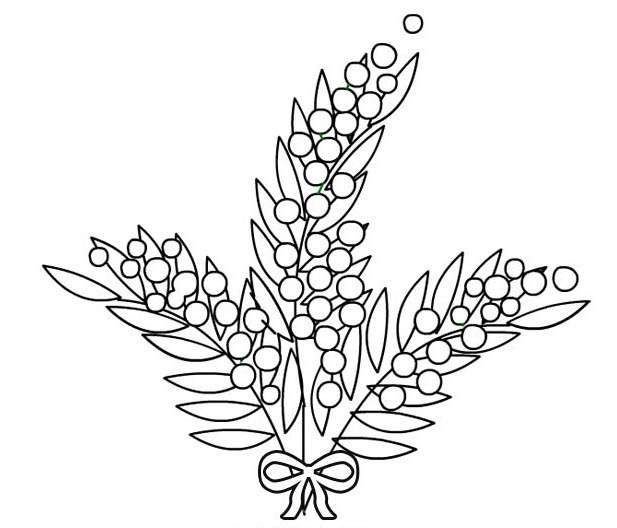 Мимоза раскраска для детей