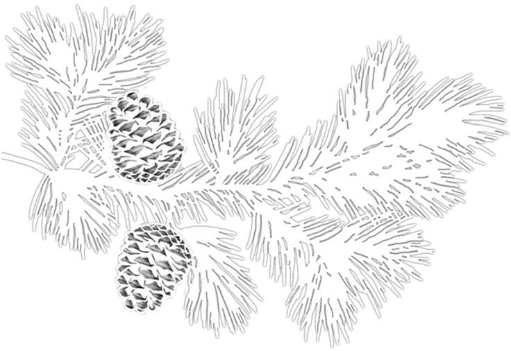 Еловая ветвь трафарет