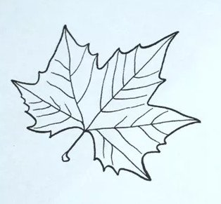 Кленовый лист шаблон для броши