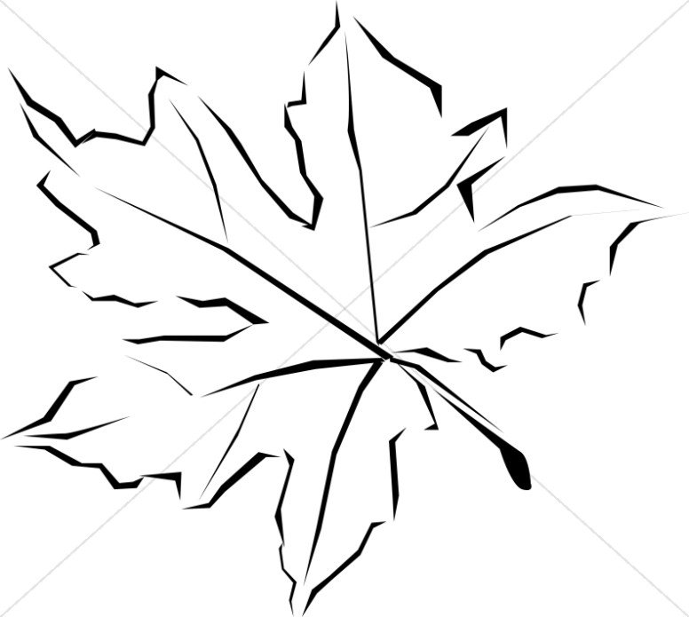 Листья черно белые