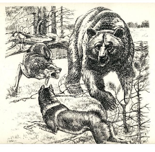 Охотничьи Гравюры