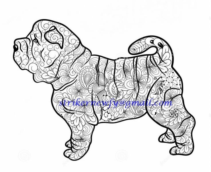 Шарпей силуэт