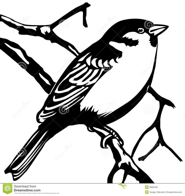 Силуэт синицы