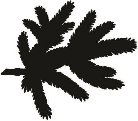 Трафарет ветки