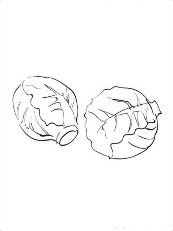 Капустка картинка для детей раскраска