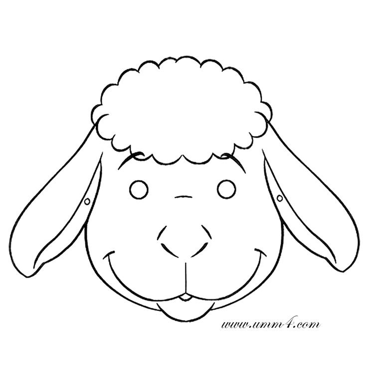 Мордочка овечки