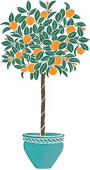 Мандариновое дерево в горшке рисунок
