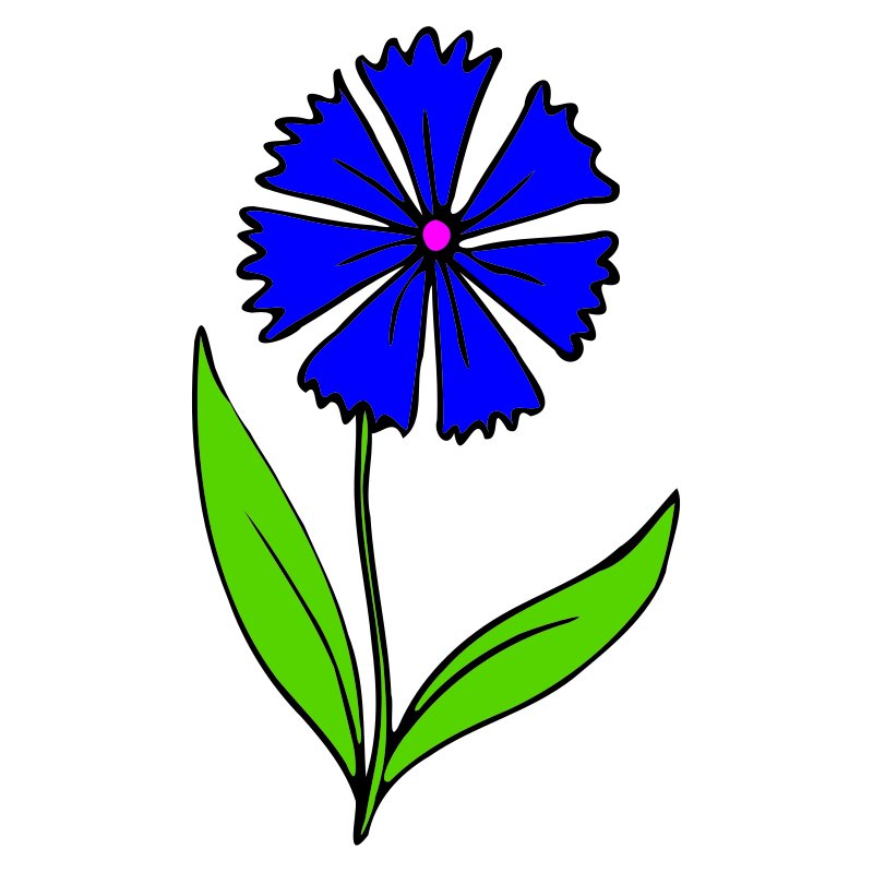 Василек рисунок