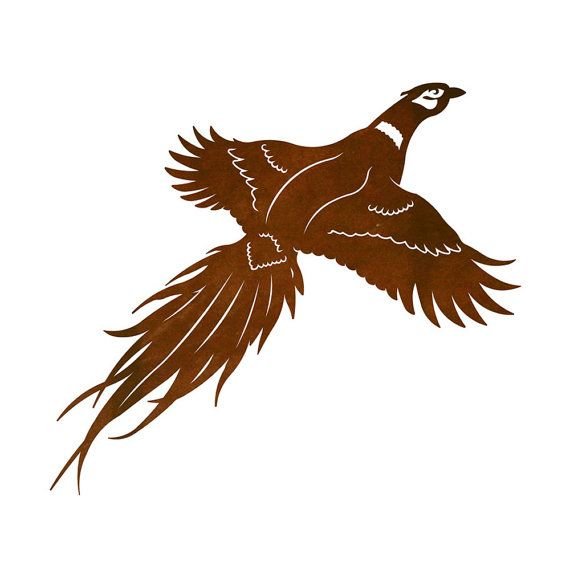 Фазан вектор