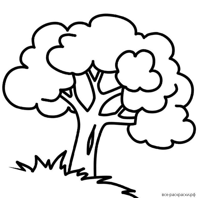 Дерево раскраска для малышей