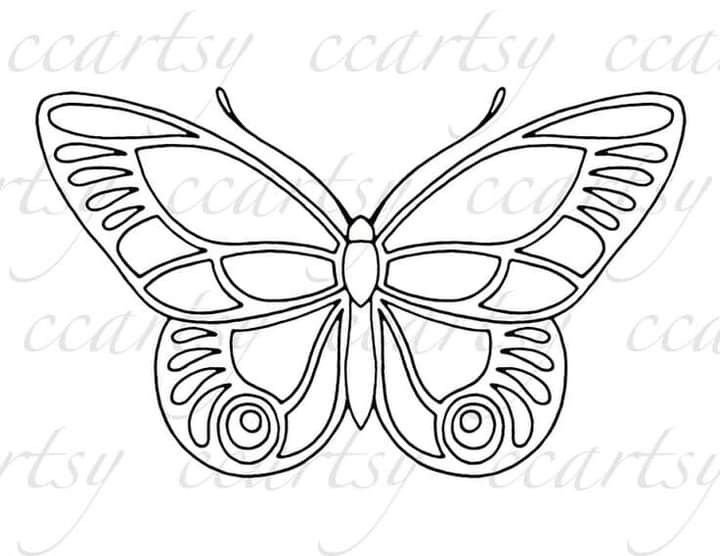 Трафареты бабочки