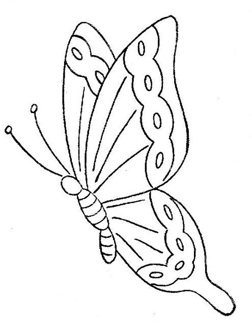 Шаблон бабочки