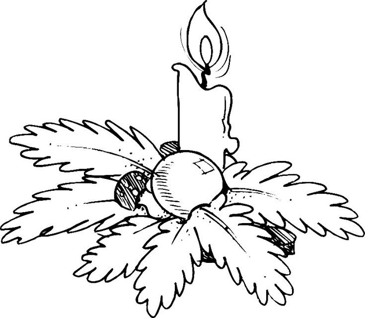 Ветка елки раскраска