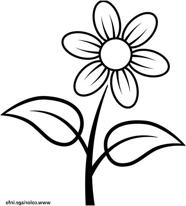 Картинки цветов для детей раскраски