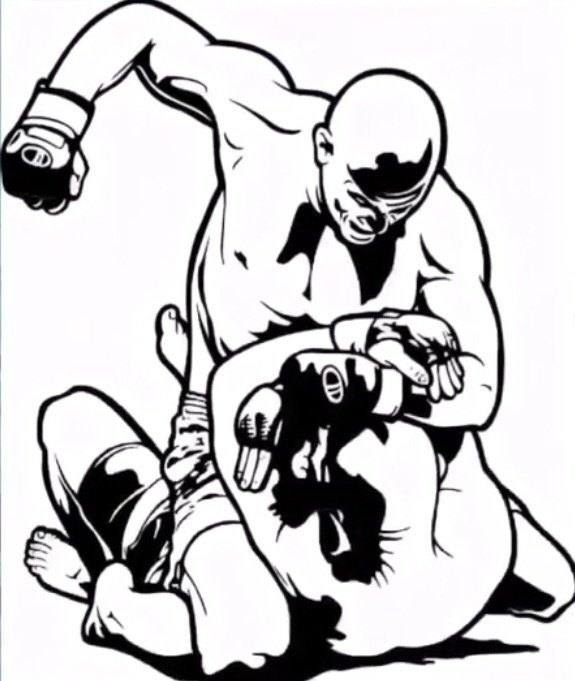 Силуэты смешанных единоборств