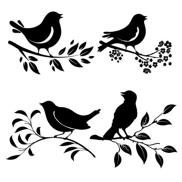 Трафареты птиц для декора