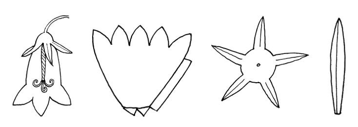 Колокольчик цветок для вырезания