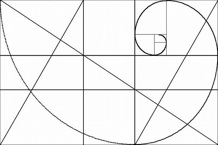 Спираль Фибоначчи золотое сечение