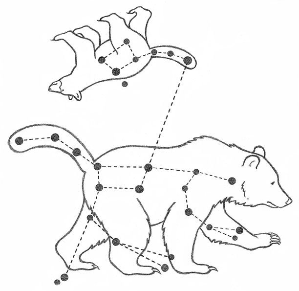 Созвездие большая Медведица схема созвездия