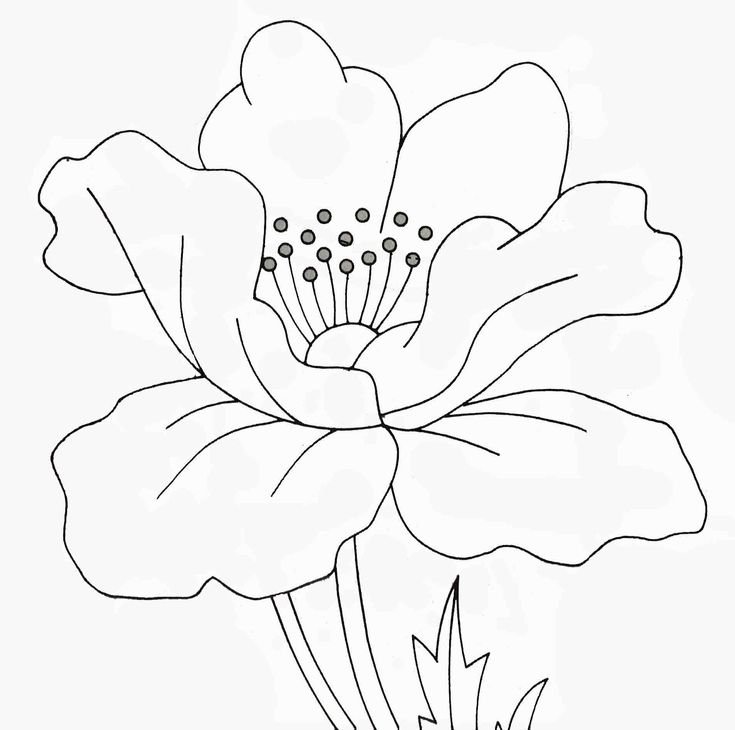 Трафареты цветов