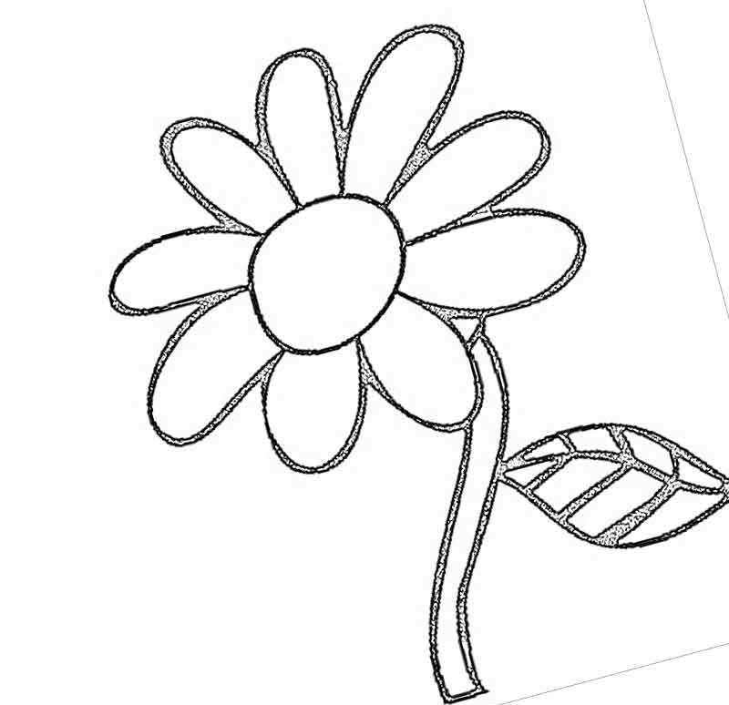 Ромашка раскраска