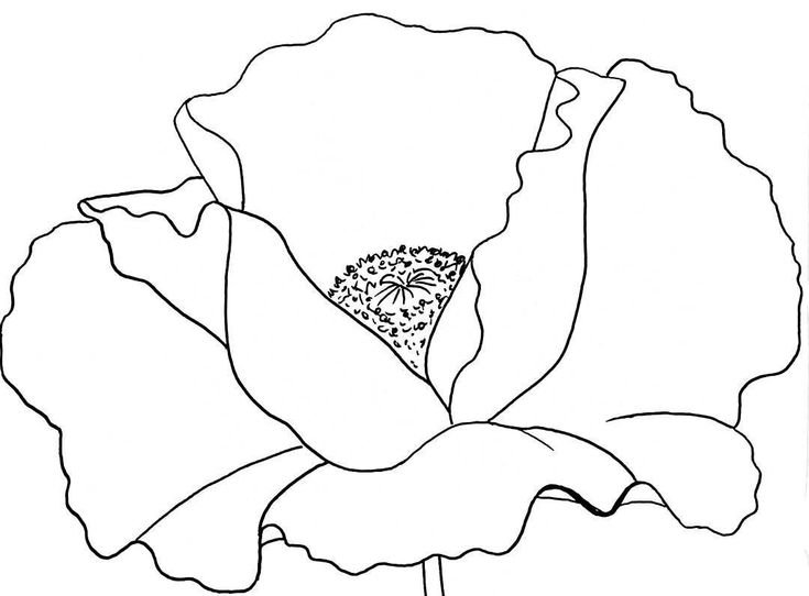 Мак раскраска