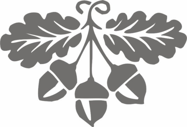 Трафареты веточки