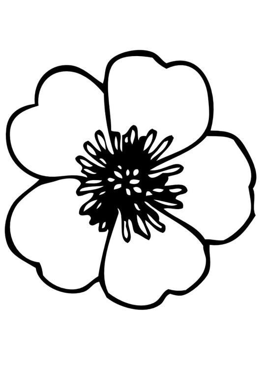 Трафарет цветочка