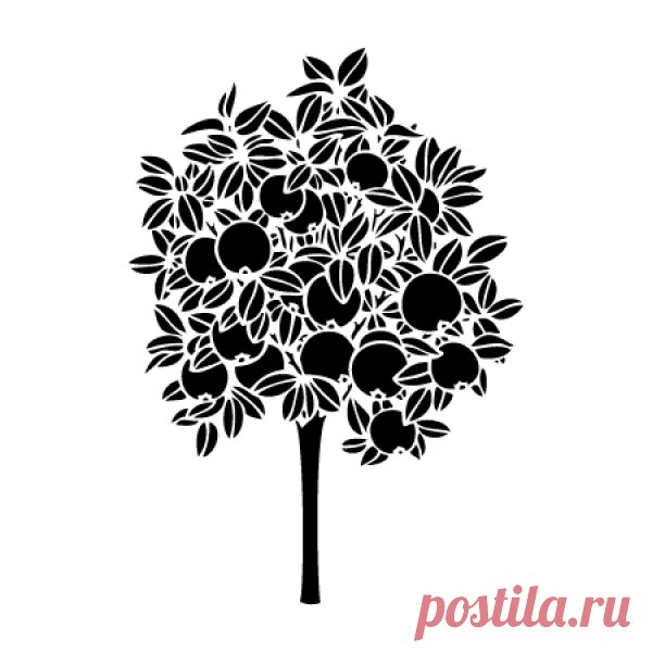 Трафарет апельсиновое дерево