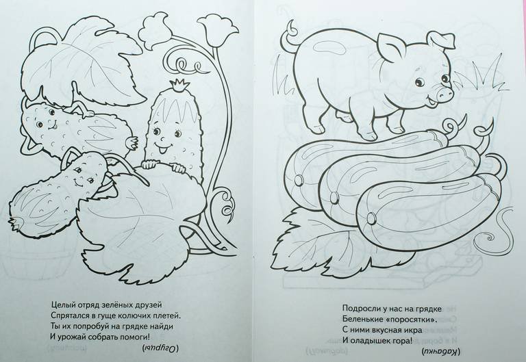 Книжка малышка раскраска