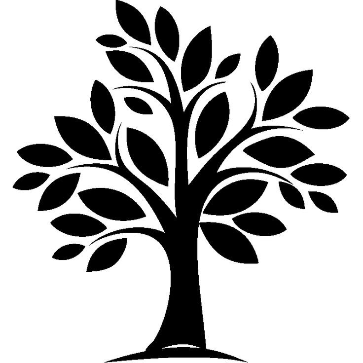 Силуэт дерева