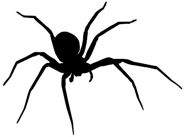 Пауки на Хэллоуин