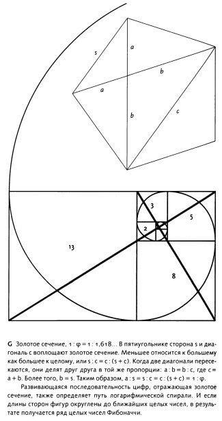 Золотое сечение пропорции