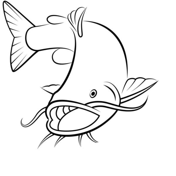 Сом раскраска для детей