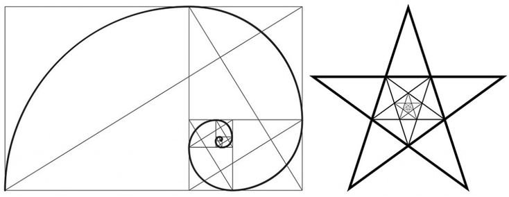 Золотая симметрия золотое сечение