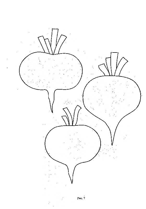 Свекла раскраска для детей