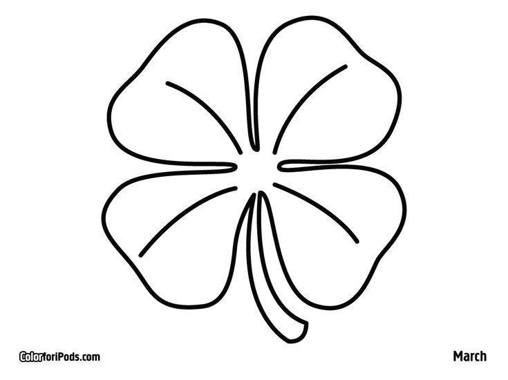 Клевер четырехлистный черно белый