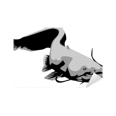 Сом на прозрачном фоне