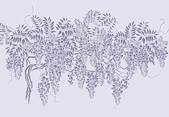 Глициния трафарет картинка