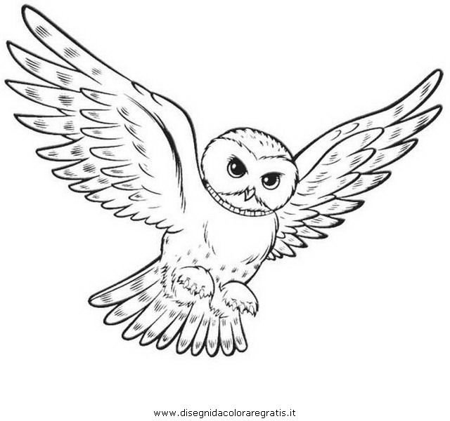 Букля Сова Гарри