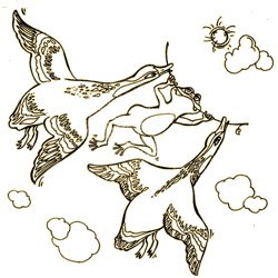 Раскраска к рассказу лягушка путешественница