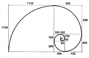 Золотое сечение чертеж