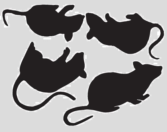 Трафарет кошки