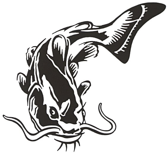 Рисунок сома