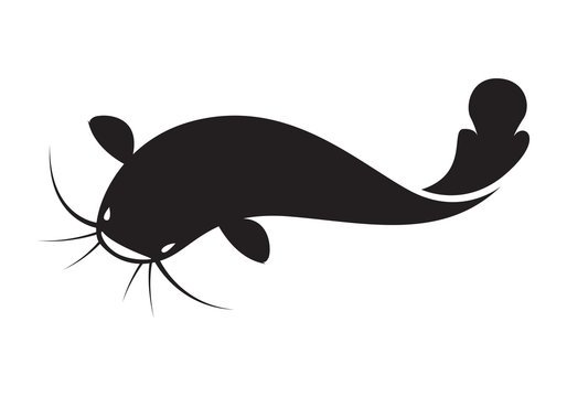 Рыба силуэт сом