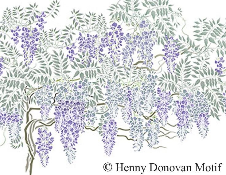 Трафарет стена Глициния -наклейка