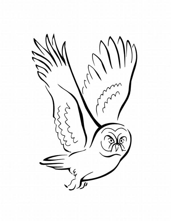 Птичка раскраска