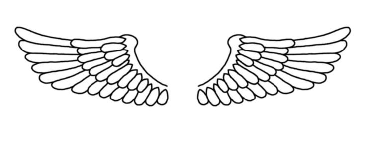 Крыло для распечатки